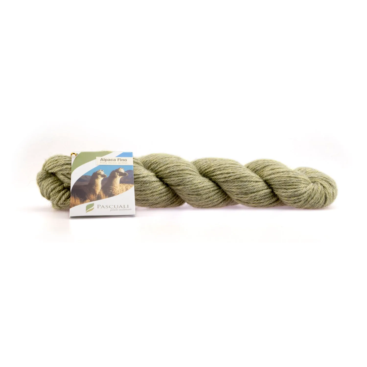 Pascuali Alpaca Fino