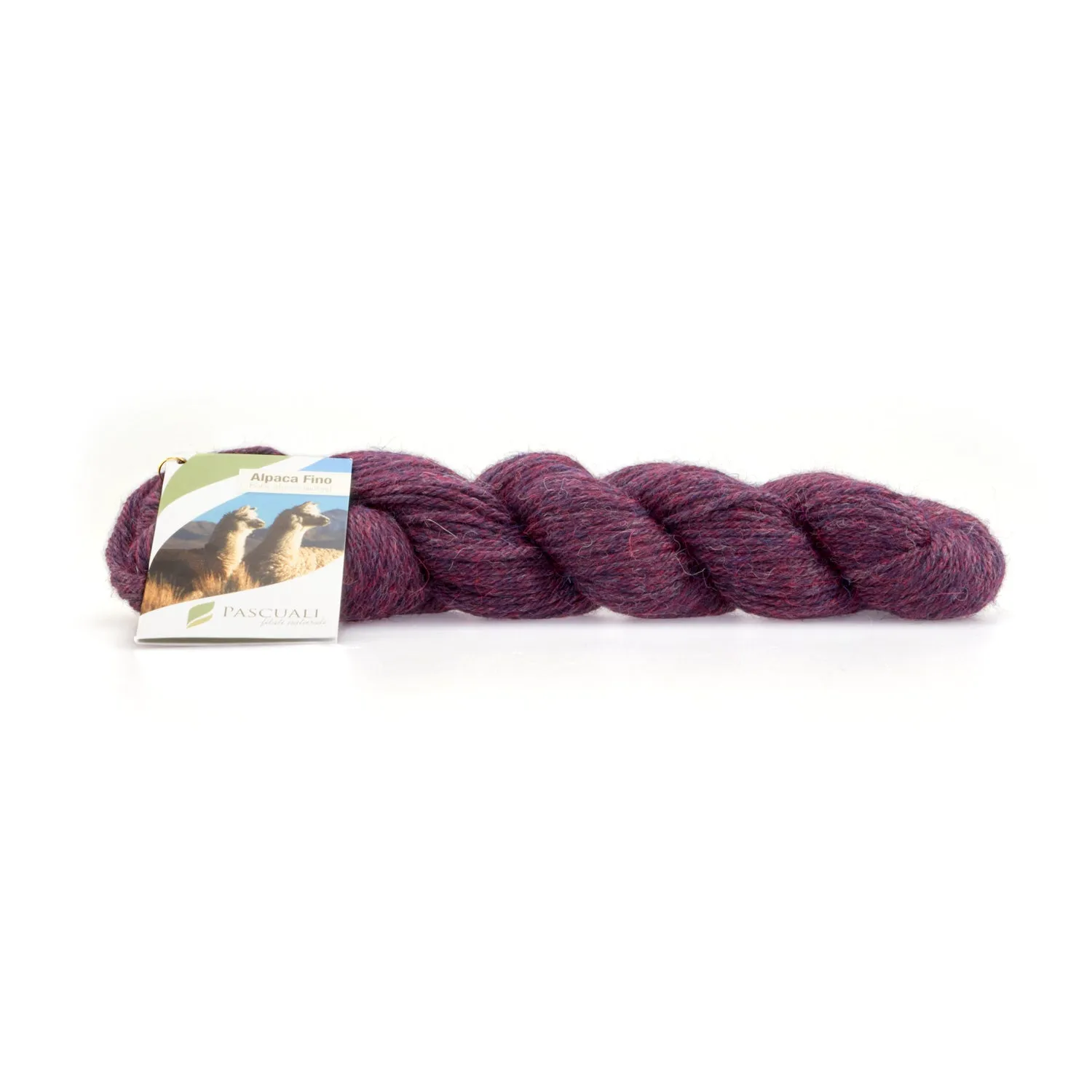 Pascuali Alpaca Fino