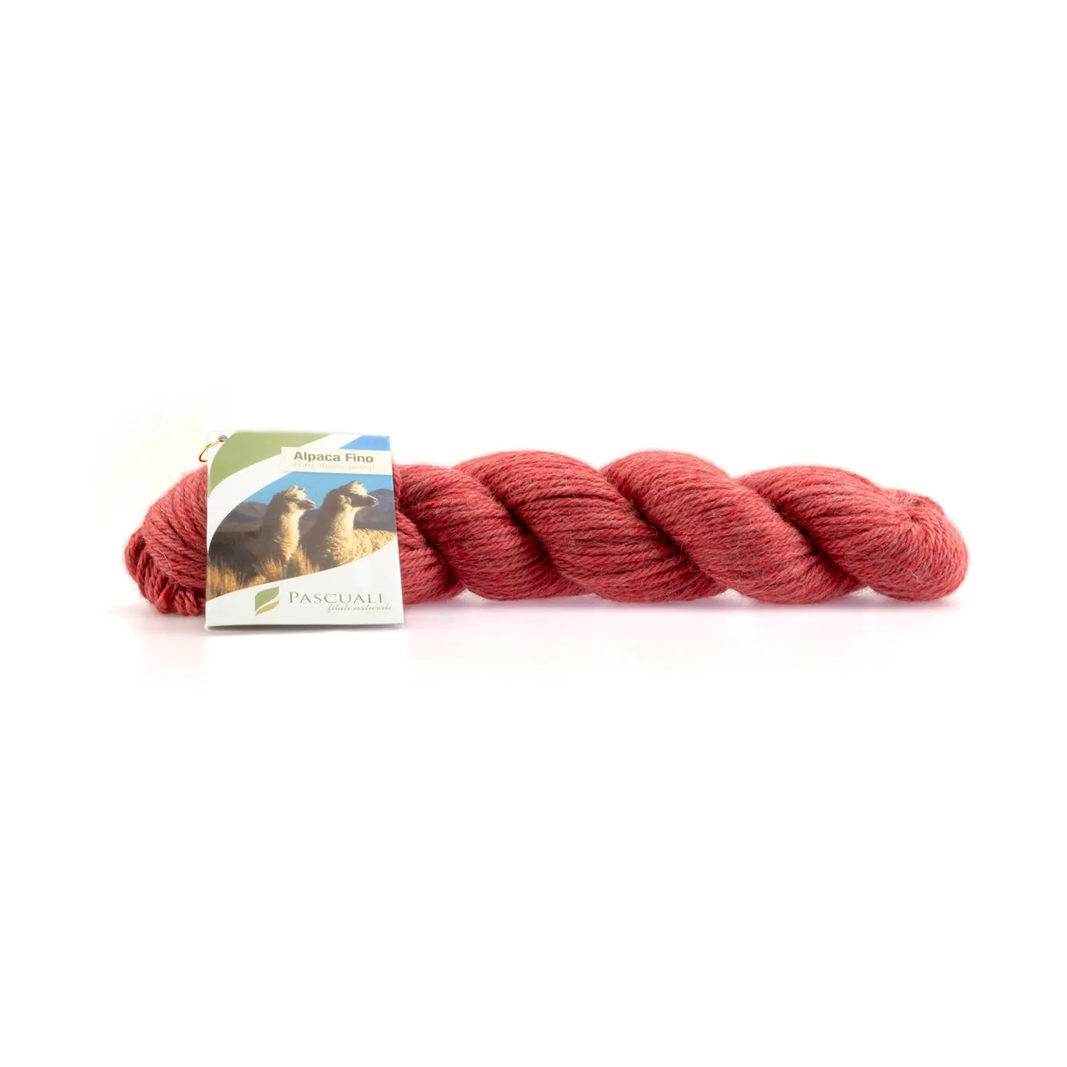 Pascuali Alpaca Fino